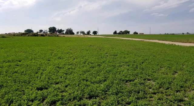 Photo of 0 County Road 51, Kersey, CO 80644