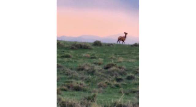 Photo of 0 County Road 37- Lot B, Nunn, CO 80648