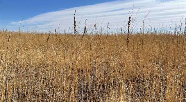 Photo of 1 County Road 26, Ramah, CO 80832
