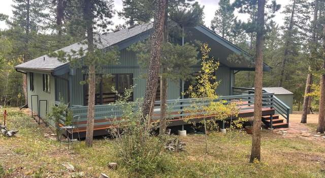 Photo of 33 N Skinner Rd, Allenspark, CO 80510