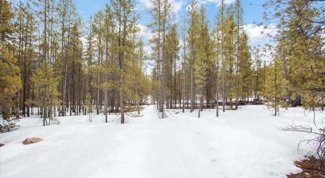 Photo of 379 Juniper Dr, Twin Lakes, CO 81251