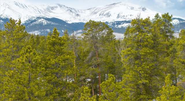 Photo of 379 Juniper Dr, Twin Lakes, CO 81251