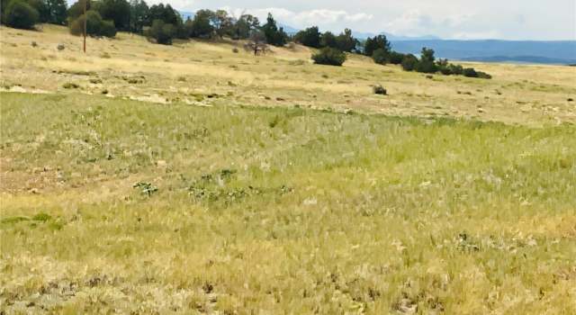 Photo of 291 Black Hls, Walsenburg, CO 81089