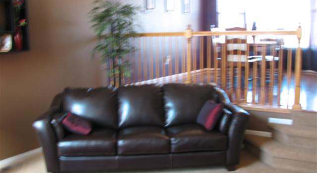 Photo of 1920 Lodgepole Dr, Erie, CO 80516