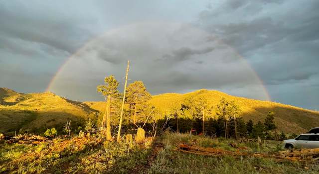 Photo of 1009 County Road 87j, Lyons, CO 80540