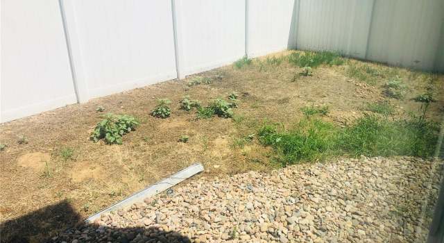 Photo of Undisclosed Address, Denver, CO 80249