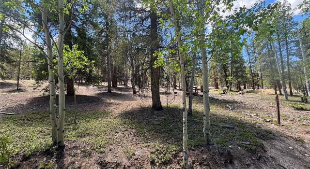 Photo of 738 Lodgepole Dr, Twin Lakes, CO 81251