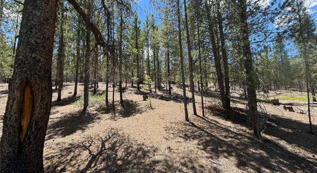 Photo of 738 Lodgepole Dr, Twin Lakes, CO 81251