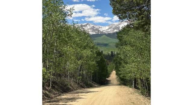 Photo of 738 Lodgepole Dr, Twin Lakes, CO 81251