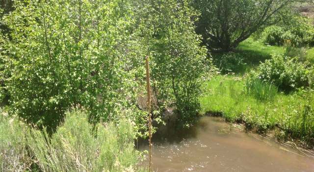 Photo of 3 Canyon Rd, Antonito, CO 81120