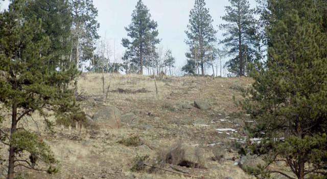 Photo of Lot 16 Lions Head Rnch, Pine, CO 80470