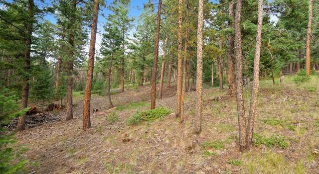Photo of 8280 Grizzly Way, Evergreen, CO 80439
