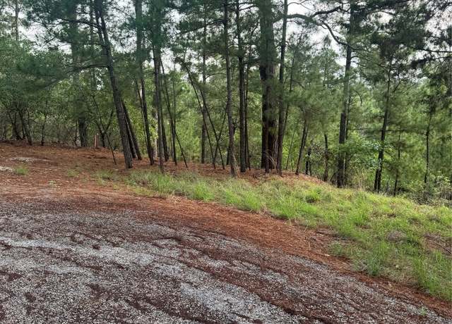 Property at Lot 1492 Haleakala, Bastrop, TX 78602