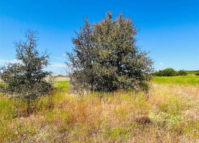 Property at TBD - Tract 4 N Fm 243, Bertram, TX 78605