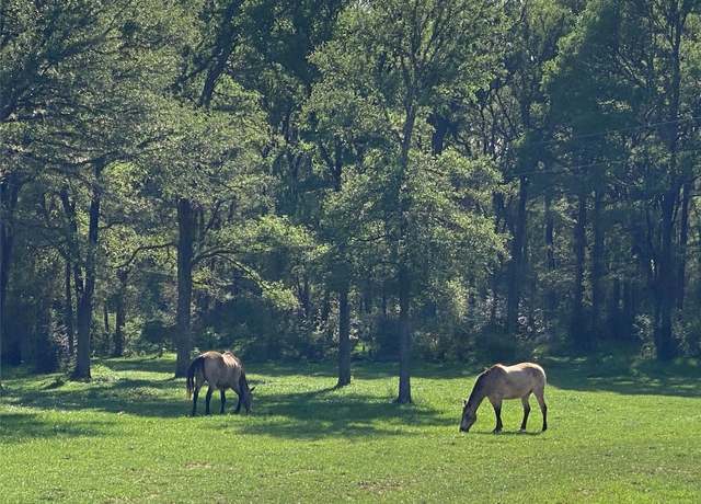 Property at 1985 Cr 309, Lexington, TX 78947