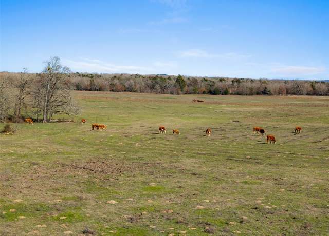 Property at 95 AC +/- County Road 234, Milano, TX 76556