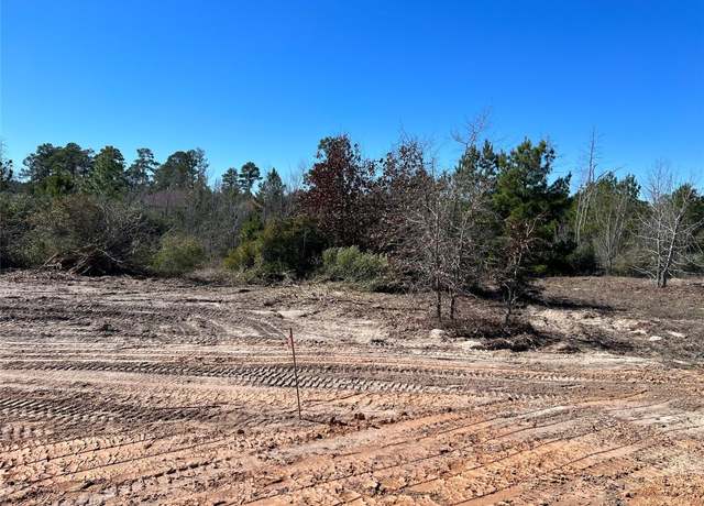 Property at Lot 50 Martin Ln, Paige, TX 78659
