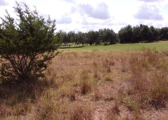 Property at 216 N Calvin Barrett Dr, Blanco, TX 78606