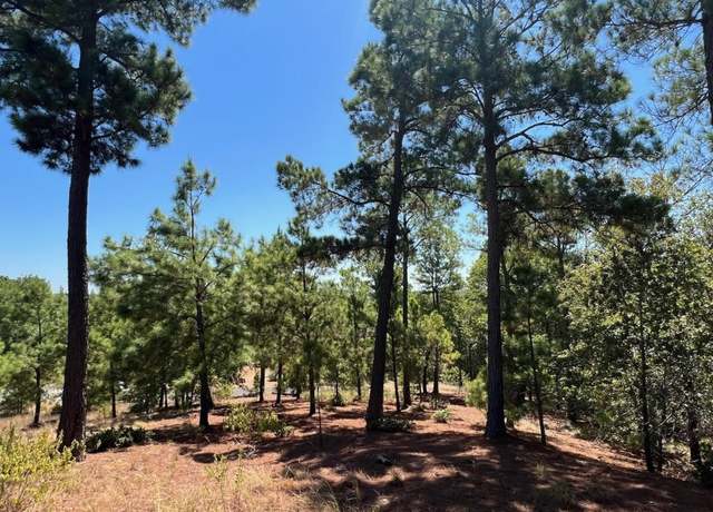 Property at lot 666 Honopupu Dr, Bastrop, TX 78602