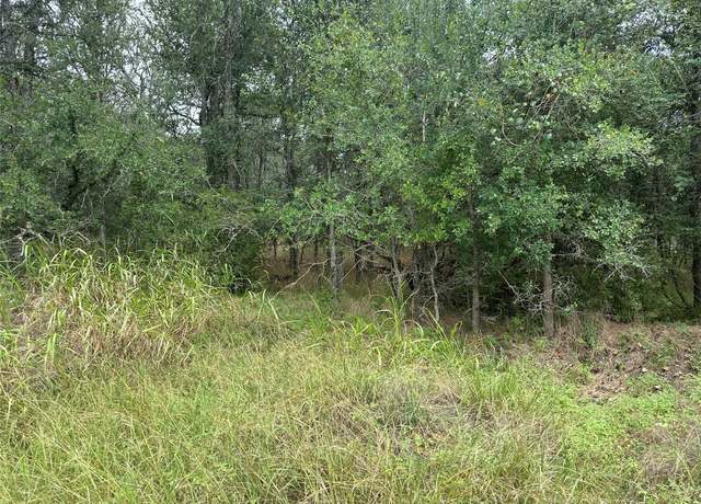 Property at 109 Halawa Ct, Bastrop, TX 78602