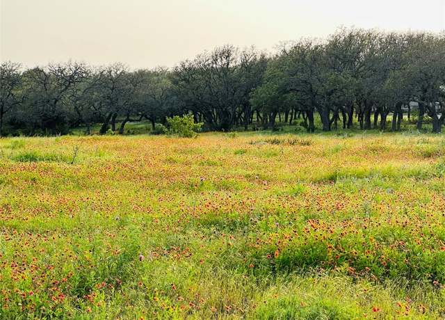 Property at 100 S Waterbuck Way, Lampasas, TX 76550