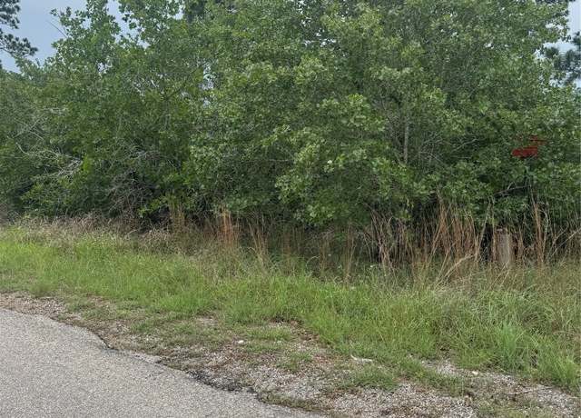 Property at Lot 1613 Kaanapali Ln, Bastrop, TX 78602