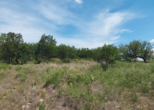 Property at 313 Eagle Basin Cir, Spicewood, TX 78669