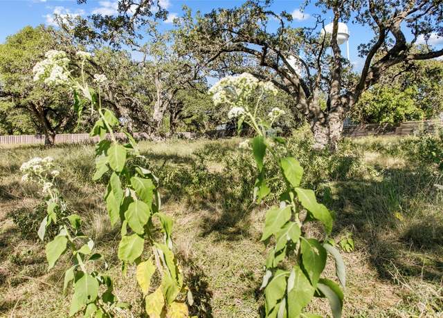 Property at 1420 Greenlawn Pkwy, Blanco, TX 88606