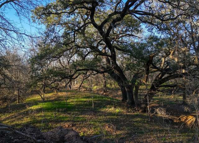 Property at 000 Dowdy Rd, Seguin, TX 78155