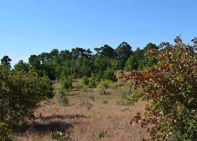 Property at Undisclosed address, Smithville, TX 78957