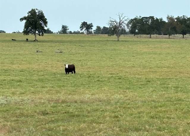 Property at TBD Fm 487, Thorndale, TX 76577