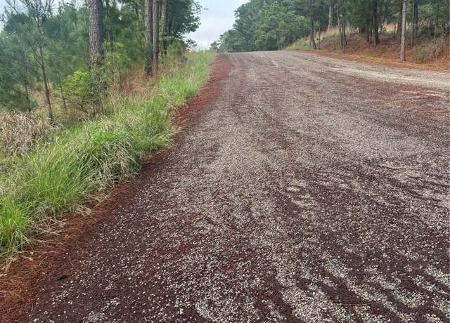 Property at Lot 1490 Haleakala, Bastrop, TX 78602