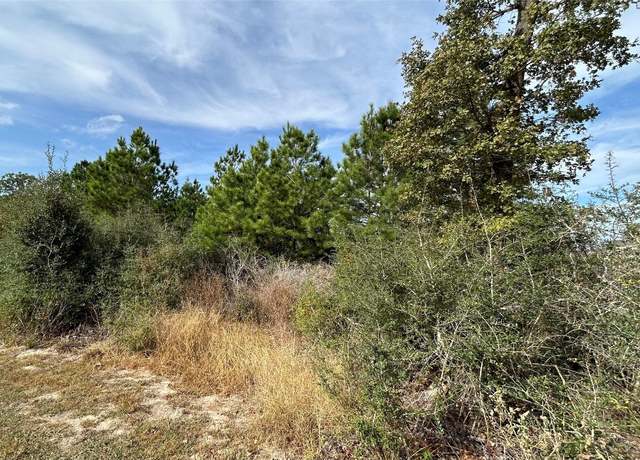 Property at TBD Jim Bowie Dr, Paige, TX 78659