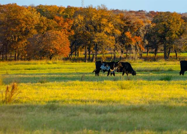 Property at TBD Tx-123, Seguin, TX 78155