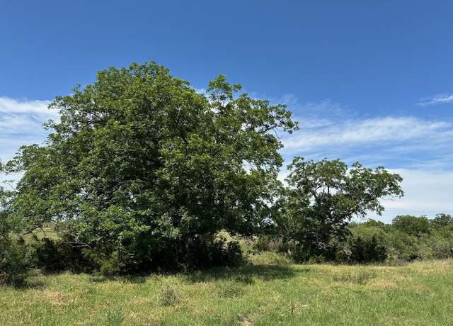 Property at 45 acres County Road 330, Bertram, TX 78605