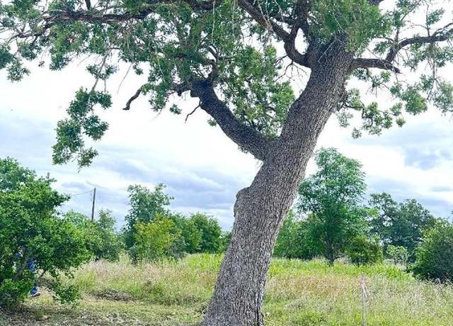 Property at 136 Wild Bird Loop, Smithville, TX 78957
