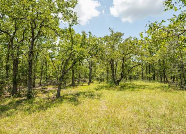Property at 418-G County Road 405, Buckholts, TX 76518