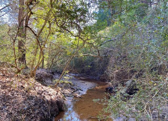 Property at TBD County Road 401, Lexington, TX 78947