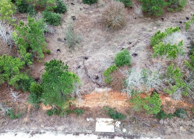 Property at LOT 171 / R32192 Keo Kea Ct, Bastrop, TX 78602