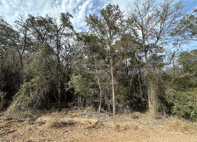 Property at Lot 1232 Hanauma Dr, Bastrop, TX 78602