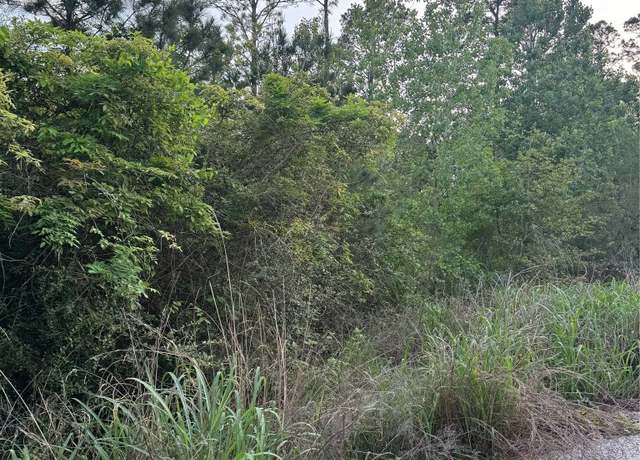 Property at Lot 1386 N Pahihi Dr, Bastrop, TX 78602