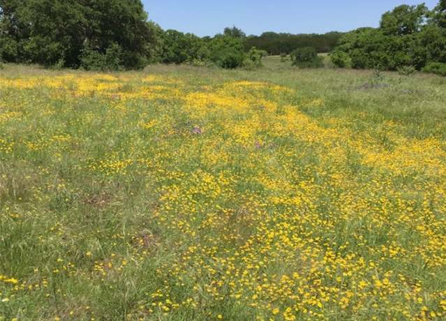Property at 184 Moondance Trl, Wimberley, TX 78676