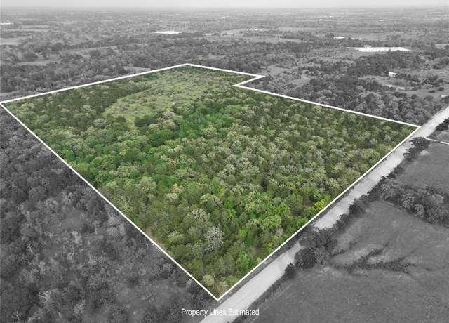 Property at TBD (43.65 Acres) County Road 126, Caldwell, TX 77836