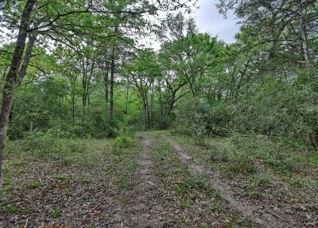 Property at TBD (43.65 Acres) County Road 126, Caldwell, TX 77836