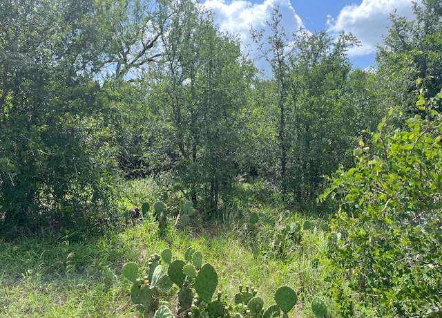 Property at 103 Mann Ln, Cedar Creek, TX 78612