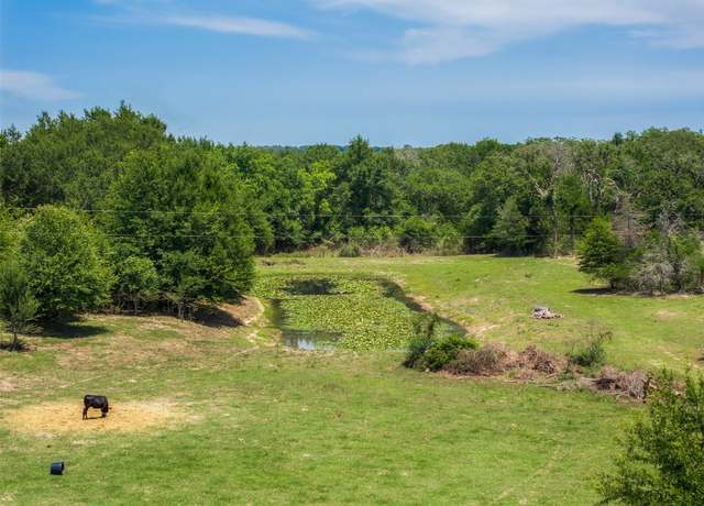 Property at 2254 County Road 329, Caldwell, TX 77836