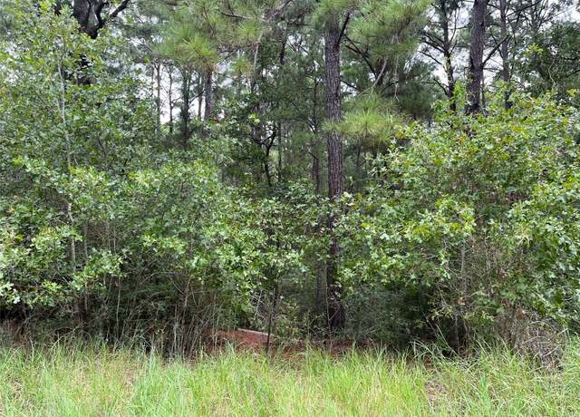 Property at Lot 47 Kamakoa Ln, Bastrop, TX 78602