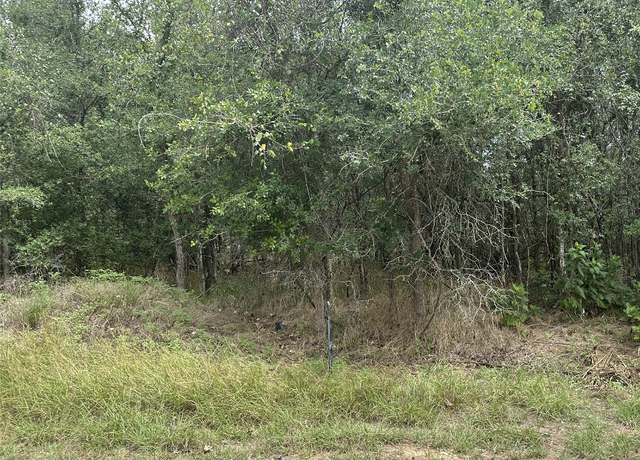 Property at 107 Halawa Ct, Bastrop, TX 78602