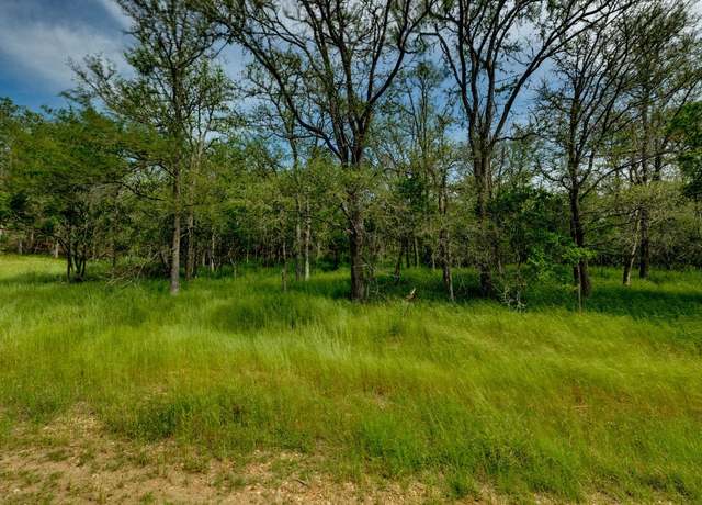 Property at 111 Hauula Ct, Bastrop, TX 78602