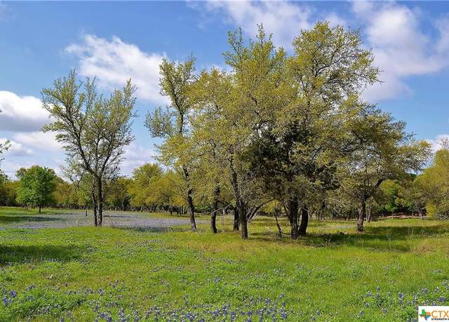 Property at 1290 County Road 4765, Kempner, TX 76539